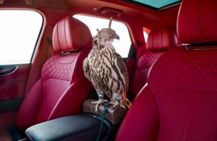 The Bentley Bentayga Falconry 2
